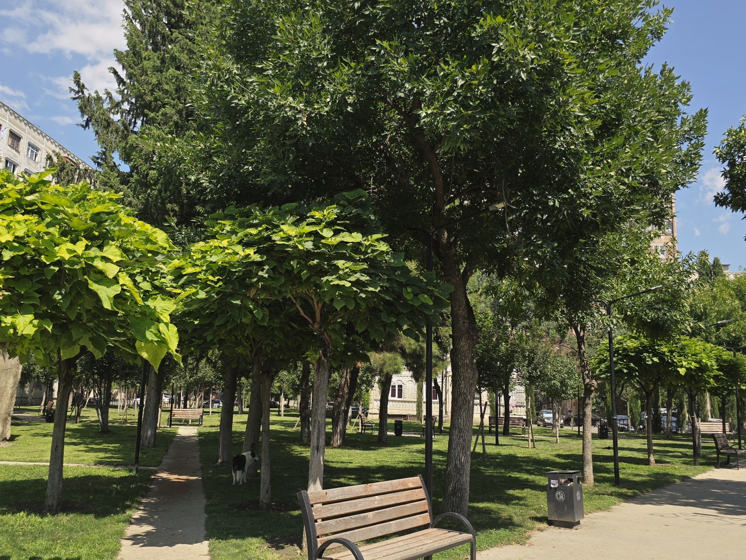 For sale Commercial space in Varketili